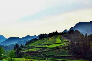 湖北7月旅游,湖北7月旅游推荐