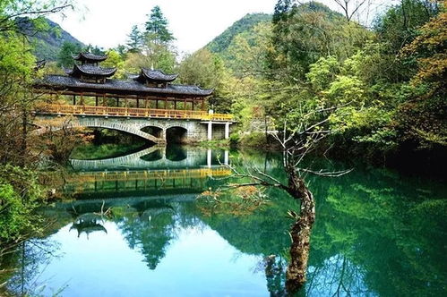 湖北鹤峰旅游,湖北鹤峰有什么好玩的