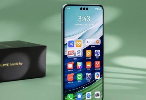 关于asml谈华为mate60pro的信息