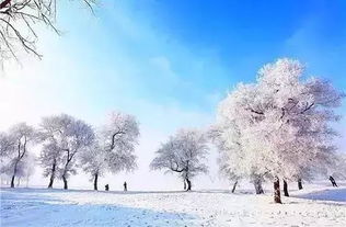 湖北冬天旅游推荐理由,湖北冬天旅游推荐理由简短