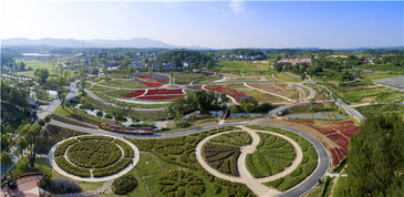 湖北全景旅游,湖北全景旅游发展有限公司怎么样