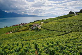 湖北女孩第一次去浙江旅游,浙江女人嫁湖北