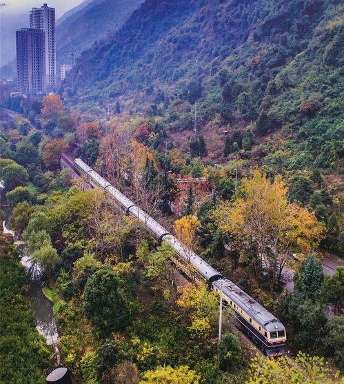 湖北旅游合法吗,湖北旅游开放了吗