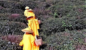 湖北黄岗的旅游,湖北黄岗的旅游景点有哪些