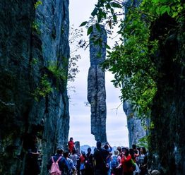 湖北恩施旅游通票,湖北恩施旅游费用价格