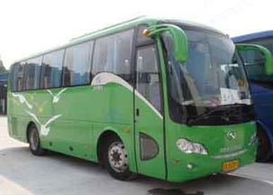 湖北旅游中巴车租赁价位,湖北旅游大巴车出租