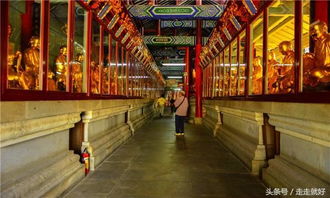 湖北过年旅游武汉攻略,湖北过年好玩的地方