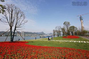 湖北月亮花谷生态旅游,宜昌月亮花谷门票多少