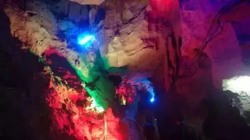 湖北月亮花谷生态旅游,宜昌月亮花谷门票多少