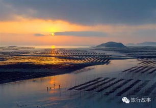 湖北去滩涂旅游报价,湖北去滩涂旅游报价多少
