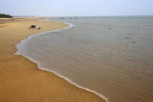 湖北去滩涂旅游报价,湖北去滩涂旅游报价多少