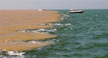 湖北去滩涂旅游报价,湖北去滩涂旅游报价多少