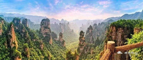 湖北恒大旅游买地信息查询,湖北恒大旅游买地信息查询官网