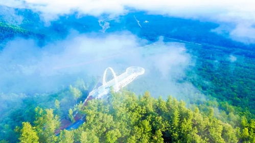 湖北伊春旅游,湖北伊春旅游景点大全