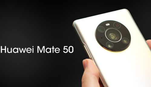 关于华为mate60冰种手镯的信息