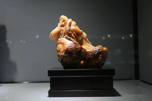 湖北美食论文,湖北美食文化的发展渊源