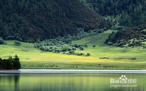 湖北云南旅游,云南旅游必去的湖