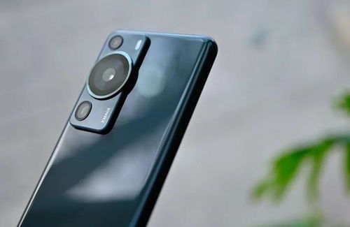 华为p60用户看到mate60发布,华为mate60pro最新消息