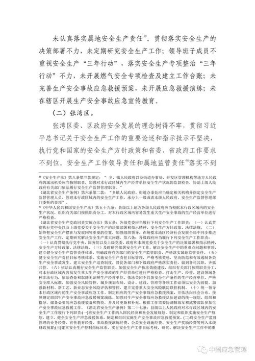 湖北美食调查800字报告,湖北的美食作文800字