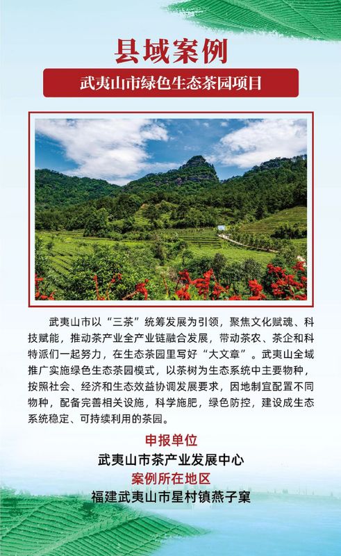 湖北疫情过后的茶乡旅游,湖北茶旅生态旅游发展有限公司