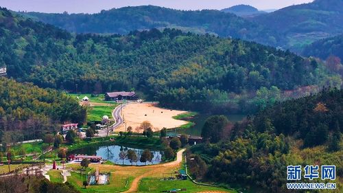 湖北疫情过后的茶乡旅游,湖北茶旅生态旅游发展有限公司