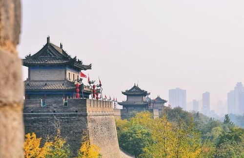 湖北荆州旅游文案简单,荆州旅游导游词