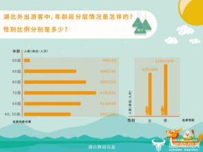 湖北省旅游大数据,湖北省旅游大数据平台官网