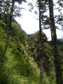 湖北神农谷旅游图,湖北神农谷介绍