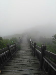 湖北神农谷旅游图,湖北神农谷介绍