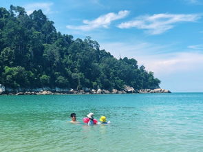 湖北父母旅游视频,湖北亲子自驾游攻略