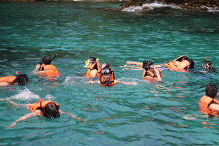 湖北父母旅游视频,湖北亲子自驾游攻略