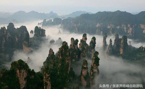 湖北天门旅游简介,天门旅游线路