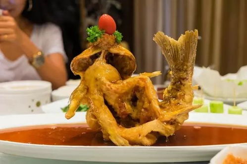 湖北美食卤水大墨鱼,卤大墨鱼的做法视频