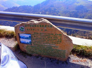 山东自驾去湖北旅游,山东人去湖北旅游免费