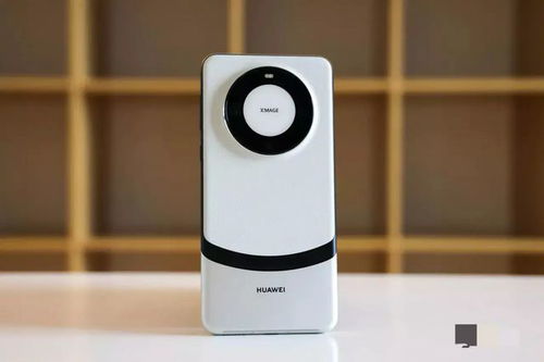 华为mate60胡杨配色,2022年华为mate60pro