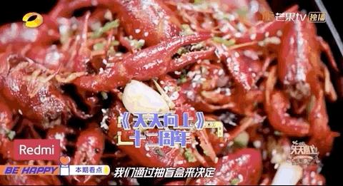 综艺里的湖北美食是什么,综艺里的湖北美食是什么节目