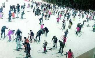 湖北各地旅游收入,2021湖北春节旅游收入