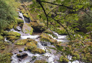 湖北恩施神农架定制旅游,湖北恩施神农架景点