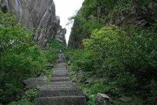 湖北鄂西文化旅游,湖北鄂西文化旅游局官网