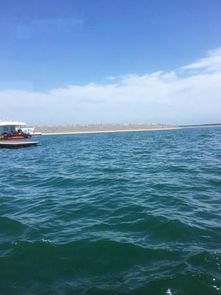 湖北松滋旅游攻略,松滋好玩的旅游景点