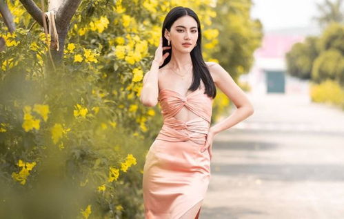 湖北旅游宣传美女,湖北旅游宣传美女视频