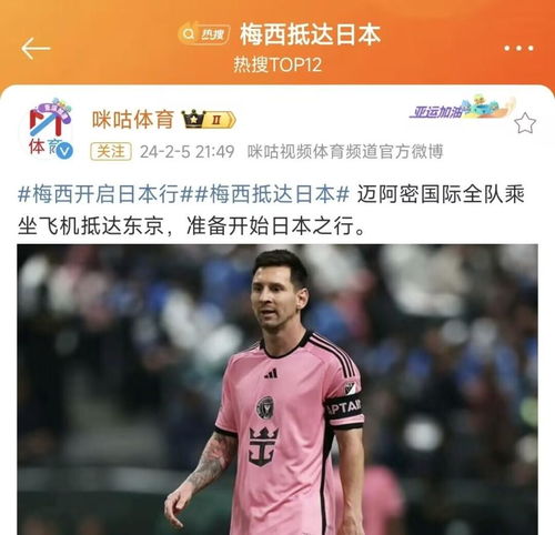 湖北旅游的梅球王,梅球王是什么意思