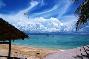 湖北可以去海南旅游吗吗,湖北能不能去