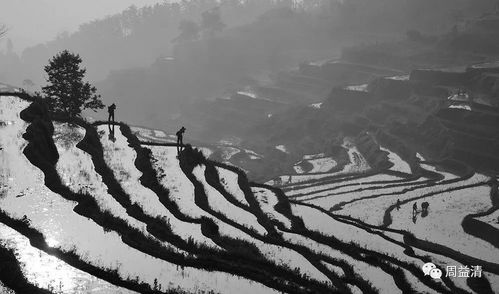 湖北蕲春雾云山旅游,蕲春云雾山梯田门票 湖北蕲春雾云山旅游,蕲春云雾山梯田门票
