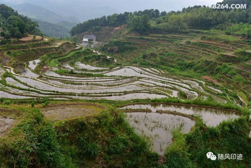 湖北蕲春雾云山旅游,蕲春云雾山梯田门票 湖北蕲春雾云山旅游,蕲春云雾山梯田门票