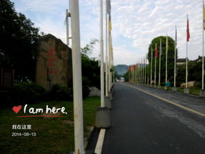 湖北省内单人旅游,湖北一个人旅游