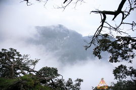 湖北峨眉山旅游,峨眉山旅游攻略自驾一日游
