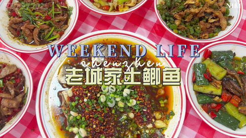 美食探店湖北美食推荐一下,美食探店湖北美食推荐一下视频