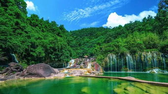 湖北鄂旅投仙桃旅游丁子毅,2000左右65寸电视性价比之王