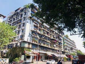 湖北美院附近好吃美食街,湖北美术学院旁边好玩的